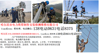 3-9-哈尔滨市电力铁塔制作安装维修有限公司-